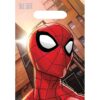 Spider-Man Webbed Wonder folded loot bags 23x16cm, Auckland NZ
