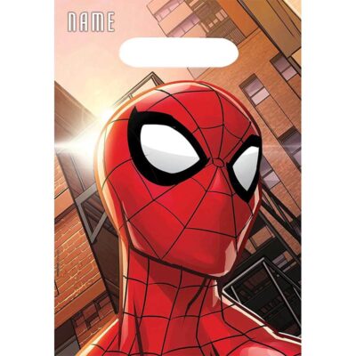 Spider-Man Webbed Wonder folded loot bags 23x16cm, Auckland NZ