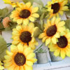 34 sunflower vine string1