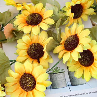 34 sunflower vine string1