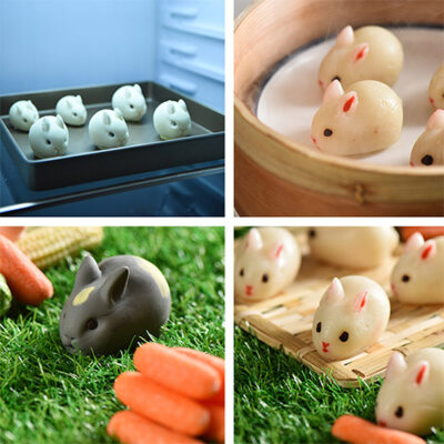 bunny mould3