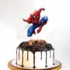 Spider-Man Webbed Wonder Acrylic Cake Topper2