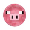 Minecraft party theme plates 9 inch 10 pieces, Auckland NZ