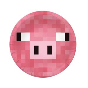 Minecraft party theme plates 9 inch 10 pieces, Auckland NZ
