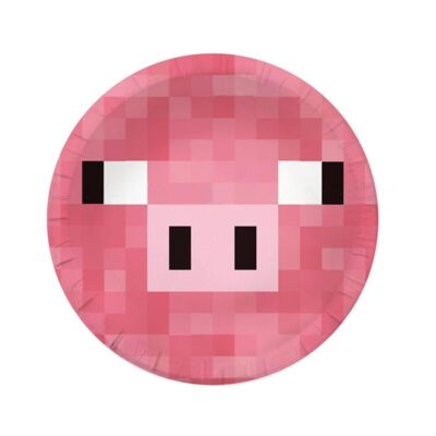 Minecraft party theme plates 9 inch 10 pieces, Auckland NZ