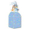 Bluey party treat boxes 8 pieces, party favour Auckland NZ