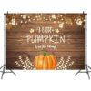 Baby Shower Pumpkin PARTY Wall Background Decoration Pumpkin baby shower party wall background decoration 150x100cm, Auckland NZ