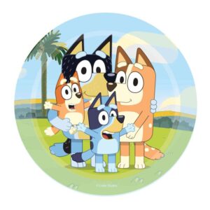 Bluey party theme round paper plates 17cm 8 pieces, Auckland NZ