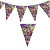 Ninja Turtles flag banners Teenage Mutant Ninja Turtles triangle party banner pennant bunting, Auckland NZ