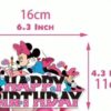 Minnie Mouse Theme Birthday cake decorations